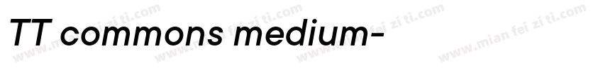 TT commons medium字体转换